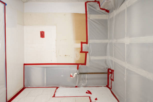 Best Post-Construction Mold Inspection  in Newburyport, MA