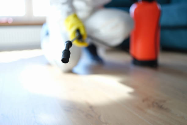 Best Commercial Mold Inspection  in Newburyport, MA