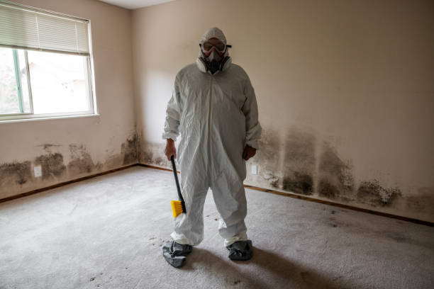 Mold Remediation for Vacation Homes in Newburyport, MA